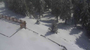 Sporthotel Kurzovní - Přístup na běžeckou trať - 1.4.2026 v 14:15 Sporthotel Kurzovní - Přístup na běžeckou trať - 1.4.2026 v 14:15