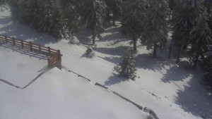 Sporthotel Kurzovní - Přístup na běžeckou trať - 1.4.2026 v 14:20 Sporthotel Kurzovní - Přístup na běžeckou trať - 1.4.2026 v 14:20