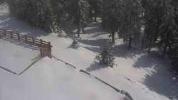 Přístup na běžeckou trať