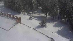 Přístup na běžeckou trať