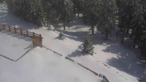 Sporthotel Kurzovní - Přístup na běžeckou trať - 1.4.2026 v 15:00 Sporthotel Kurzovní - Přístup na běžeckou trať - 1.4.2026 v 15:00