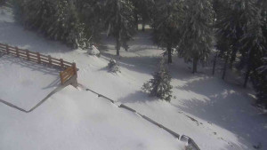 Sporthotel Kurzovní - Přístup na běžeckou trať - 1.4.2026 v 15:25 Sporthotel Kurzovní - Přístup na běžeckou trať - 1.4.2026 v 15:25