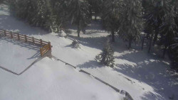 Přístup na běžeckou trať