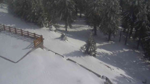 Sporthotel Kurzovní - Přístup na běžeckou trať - 1.4.2026 v 15:45 Sporthotel Kurzovní - Přístup na běžeckou trať - 1.4.2026 v 15:45