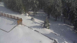 Přístup na běžeckou trať