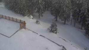 Sporthotel Kurzovní - Přístup na běžeckou trať - 1.4.2026 v 16:40 Sporthotel Kurzovní - Přístup na běžeckou trať - 1.4.2026 v 16:40