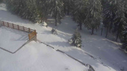 Přístup na běžeckou trať