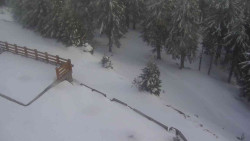 Přístup na běžeckou trať