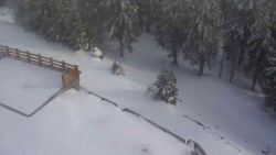 Přístup na běžeckou trať