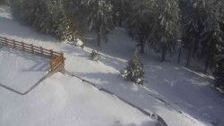 Přístup na běžeckou trať