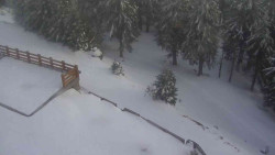 Přístup na běžeckou trať