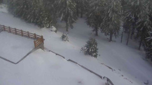 Sporthotel Kurzovní - Přístup na běžeckou trať - 1.4.2026 v 17:15 Sporthotel Kurzovní - Přístup na běžeckou trať - 1.4.2026 v 17:15