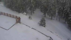 Sporthotel Kurzovní - Přístup na běžeckou trať - 1.4.2026 v 17:40 Sporthotel Kurzovní - Přístup na běžeckou trať - 1.4.2026 v 17:40