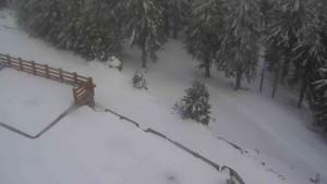 Sporthotel Kurzovní - Přístup na běžeckou trať - 1.4.2026 v 18:00 Sporthotel Kurzovní - Přístup na běžeckou trať - 1.4.2026 v 18:00