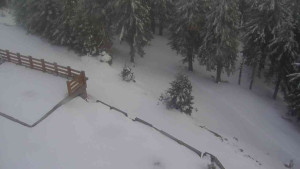 Sporthotel Kurzovní - Přístup na běžeckou trať - 1.4.2026 v 18:10 Sporthotel Kurzovní - Přístup na běžeckou trať - 1.4.2026 v 18:10