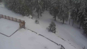 Sporthotel Kurzovní - Přístup na běžeckou trať - 1.4.2026 v 18:15 Sporthotel Kurzovní - Přístup na běžeckou trať - 1.4.2026 v 18:15