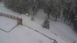 Sporthotel Kurzovní - Přístup na běžeckou trať - 1.4.2026 v 18:20 Sporthotel Kurzovní - Přístup na běžeckou trať - 1.4.2026 v 18:20