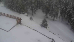 Přístup na běžeckou trať