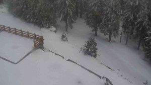 Sporthotel Kurzovní - Přístup na běžeckou trať - 1.4.2026 v 18:35 Sporthotel Kurzovní - Přístup na běžeckou trať - 1.4.2026 v 18:35