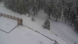 Sporthotel Kurzovní - Přístup na běžeckou trať - 1.4.2026 v 18:45 Sporthotel Kurzovní - Přístup na běžeckou trať - 1.4.2026 v 18:45