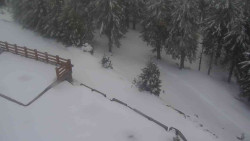 Přístup na běžeckou trať