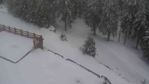 Sporthotel Kurzovní - Přístup na běžeckou trať - 1.4.2026 v 18:50 Sporthotel Kurzovní - Přístup na běžeckou trať - 1.4.2026 v 18:50