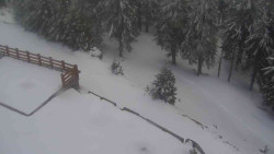 Přístup na běžeckou trať