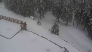 Sporthotel Kurzovní - Přístup na běžeckou trať - 1.4.2026 v 19:00 Sporthotel Kurzovní - Přístup na běžeckou trať - 1.4.2026 v 19:00