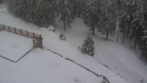 Sporthotel Kurzovní - Přístup na běžeckou trať - 1.4.2026 v 19:05 Sporthotel Kurzovní - Přístup na běžeckou trať - 1.4.2026 v 19:05