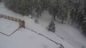 Sporthotel Kurzovní - Přístup na běžeckou trať - 1.4.2026 v 19:10 Sporthotel Kurzovní - Přístup na běžeckou trať - 1.4.2026 v 19:10