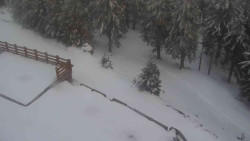 Přístup na běžeckou trať