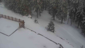 Sporthotel Kurzovní - Přístup na běžeckou trať - 1.4.2026 v 19:20 Sporthotel Kurzovní - Přístup na běžeckou trať - 1.4.2026 v 19:20