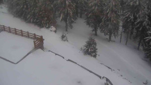 Sporthotel Kurzovní - Přístup na běžeckou trať - 1.4.2026 v 19:25 Sporthotel Kurzovní - Přístup na běžeckou trať - 1.4.2026 v 19:25