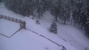 Sporthotel Kurzovní - Přístup na běžeckou trať - 1.4.2026 v 19:40 Sporthotel Kurzovní - Přístup na běžeckou trať - 1.4.2026 v 19:40