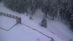 Přístup na běžeckou trať