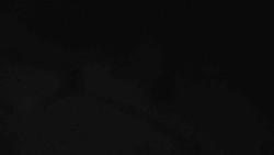 Přístup na běžeckou trať