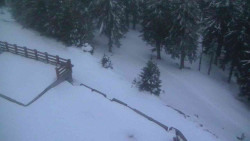 Přístup na běžeckou trať