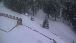 Přístup na běžeckou trať