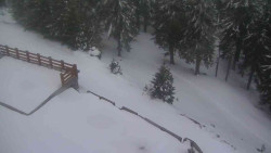 Přístup na běžeckou trať