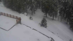 Přístup na běžeckou trať