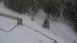 Přístup na běžeckou trať