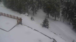 Přístup na běžeckou trať