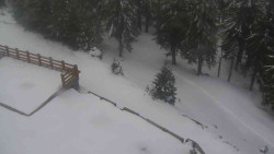 Přístup na běžeckou trať