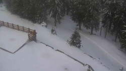 Přístup na běžeckou trať