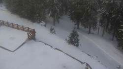 Přístup na běžeckou trať