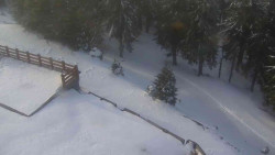 Přístup na běžeckou trať