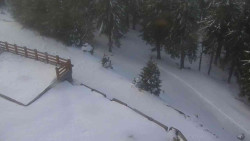 Přístup na běžeckou trať