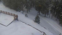 Přístup na běžeckou trať