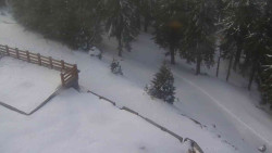 Přístup na běžeckou trať