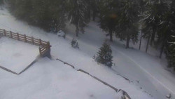 Přístup na běžeckou trať